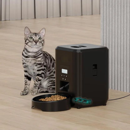 Timely Pet Feeder & Nutritional Dispenser