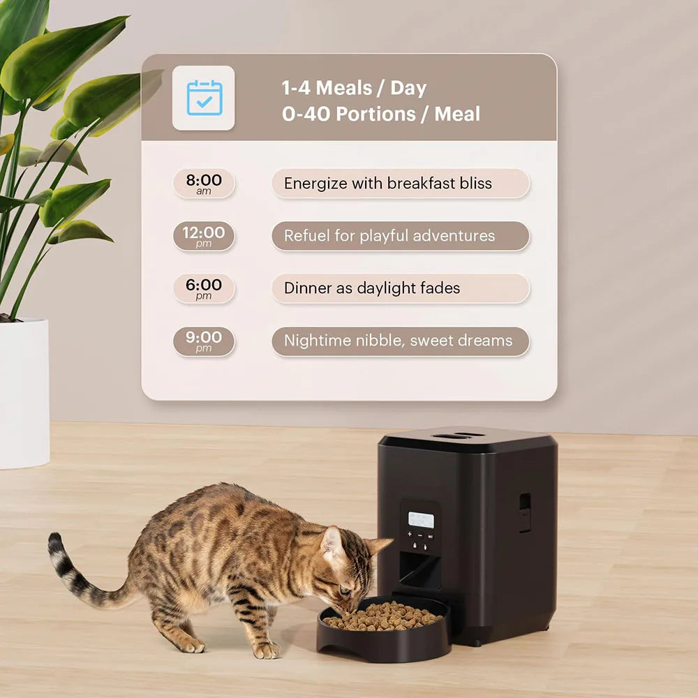 Timely Pet Feeder & Nutritional Dispenser